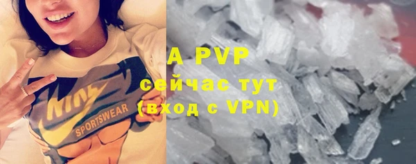 apvp Богданович