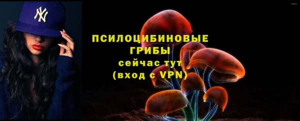 стафф Беломорск