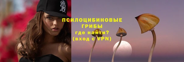 стафф Беломорск