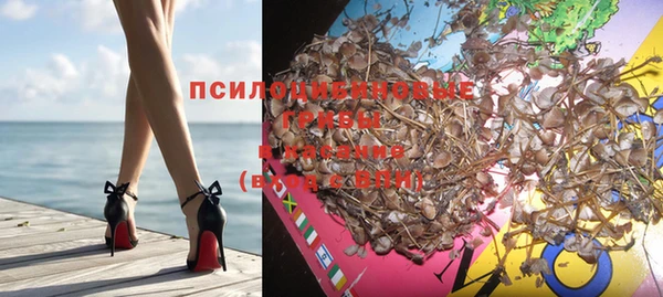 круглые Белокуриха