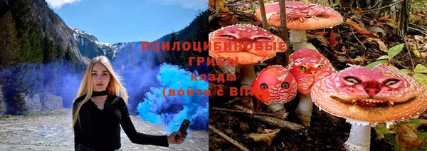 гидропоника Белоозёрский