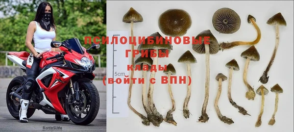 круглые Белокуриха