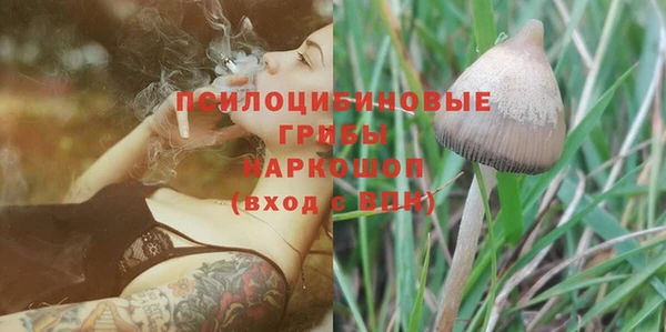 круглые Белокуриха