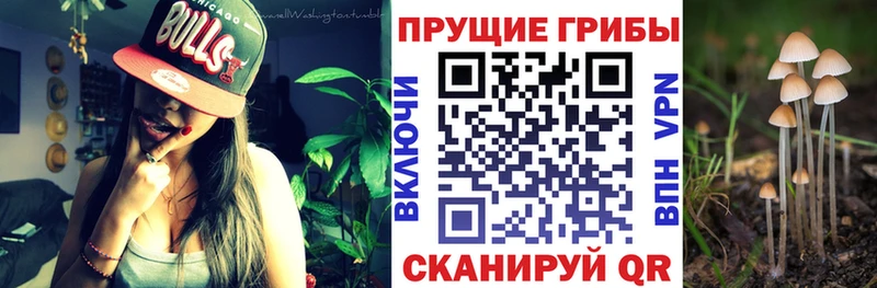 Галлюциногенные грибы мицелий  ссылка на мегу как зайти  Набережные Челны 